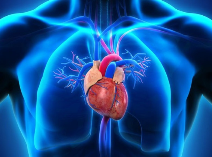 best cardiologist in agra